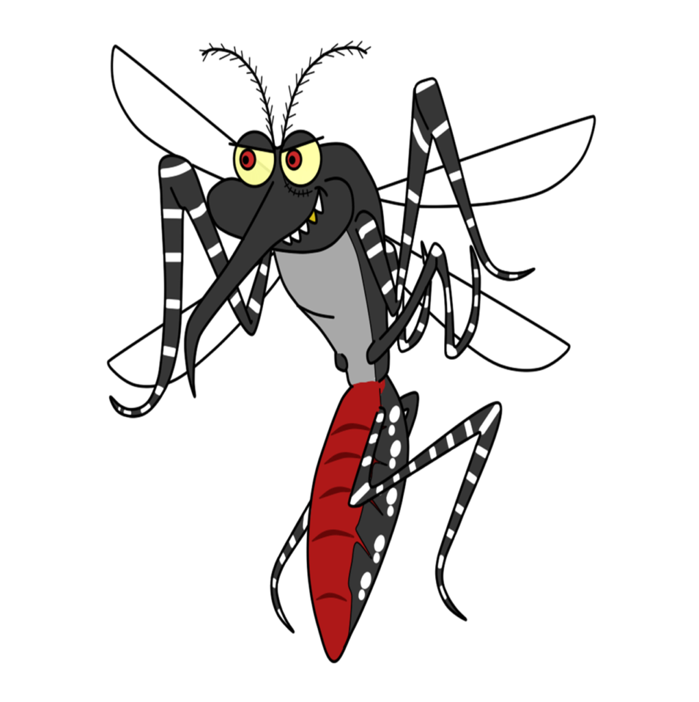 Dengue Fever,Aedes mosquitoes